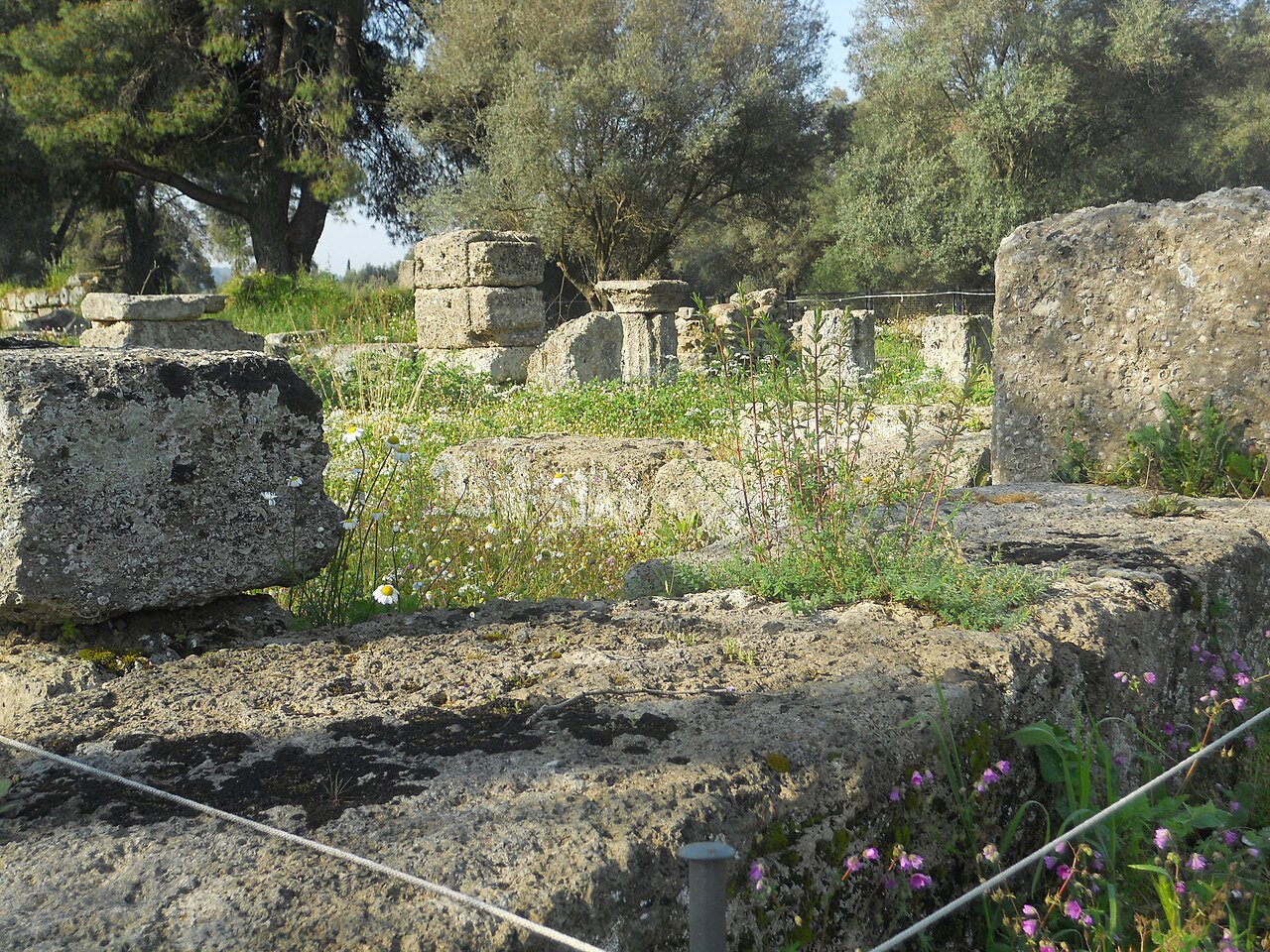 Archaeological ruins at Ancient Olympia with fallen columns and excavated foundations of the Olympic sanctuary
